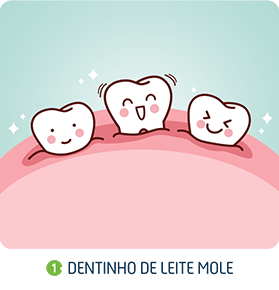 Coleta de Células-tronco do Dente de Leite